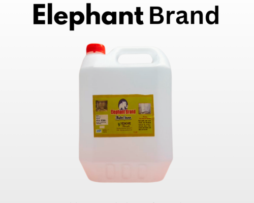Elephant_20250105_033618_0000 Elephant_20250105_033618_0000